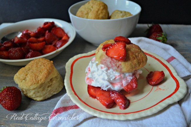 Vegan Strawberry Shortcake with Coconut Whipped Cream