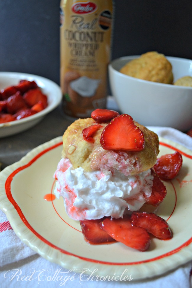 Vegan Strawberry Shortcake and Coconut Whipped Cream