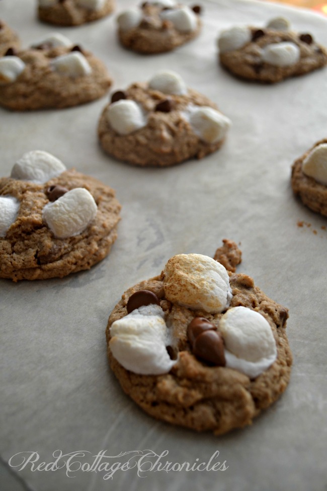 Cinnamon s'mores cookies