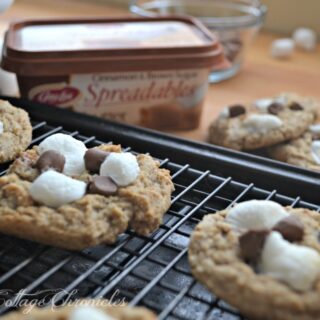 Cinnamon S'mores Cookies