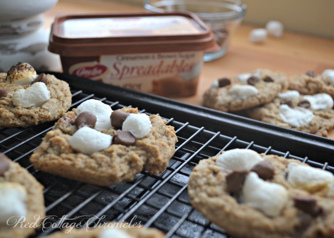 Cinnamon S'mores Cookies