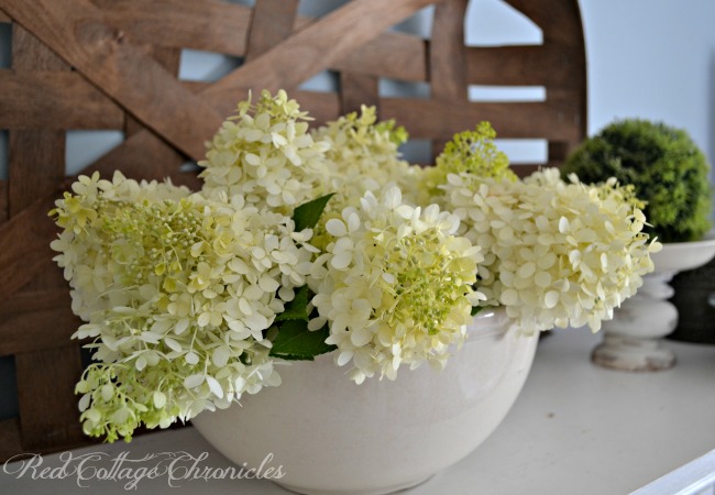 Easy DIY Hydrangea Arrangement