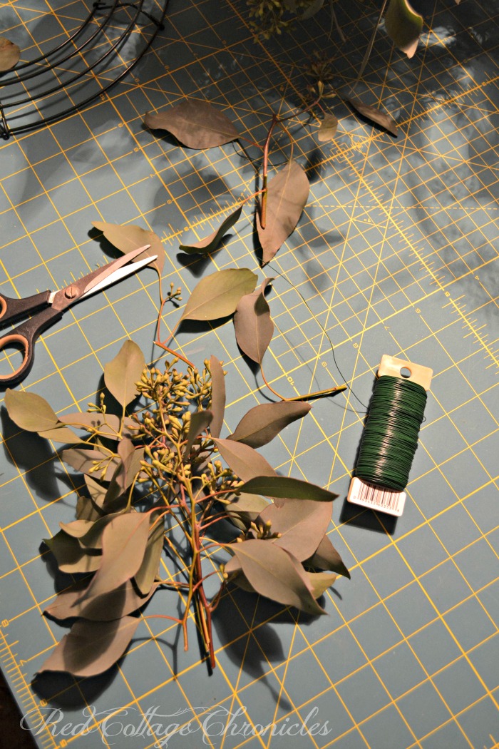 seeded eucalyptus autumn wreath