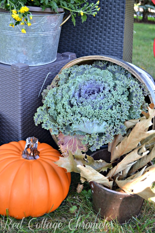 outdoor fall decor