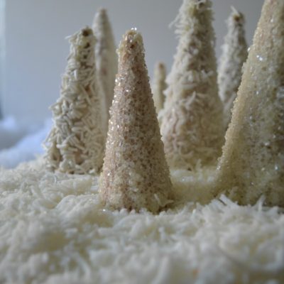 Winter Wonderland Christmas Cake Tutorial