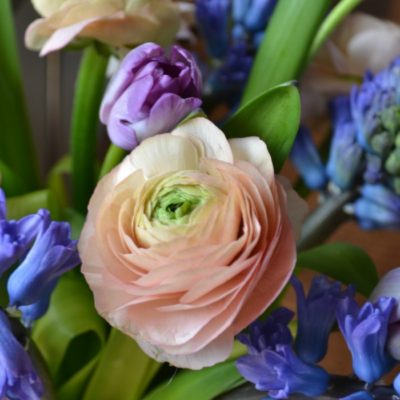 Warming Up Winter With Flowers