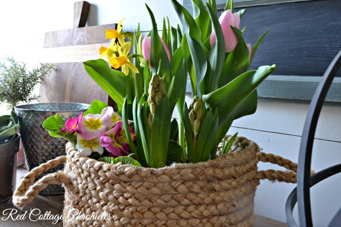 Spring Flowers