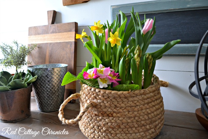 Spring Flower Basket