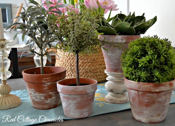 Aged Terracotta Pots - Year in Review