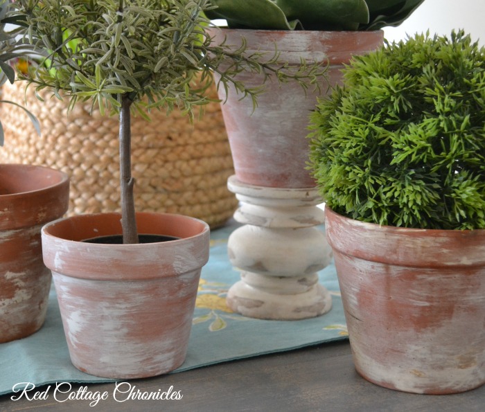 How To Age A Terracotta Pot