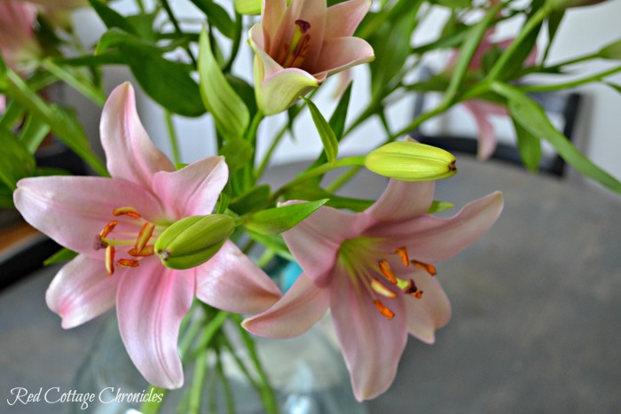 Market Flowers Monday