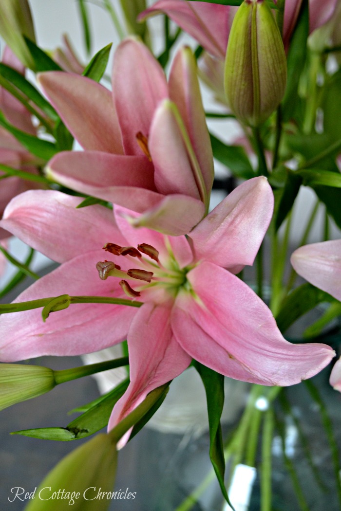 Market Flowers Monday