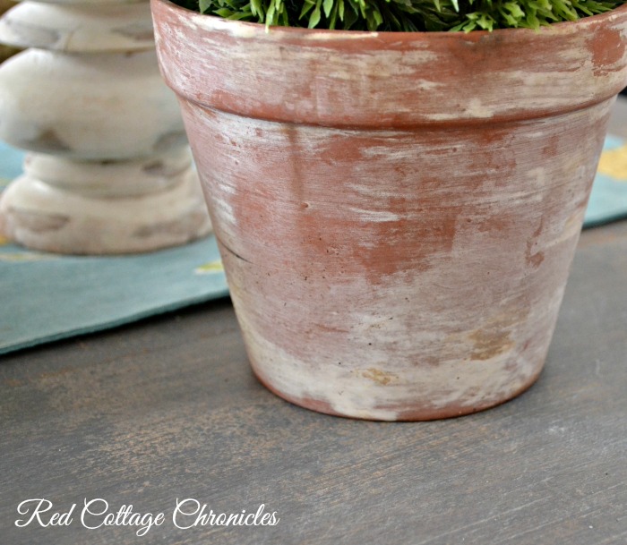 How to Age a Terracotta Pot