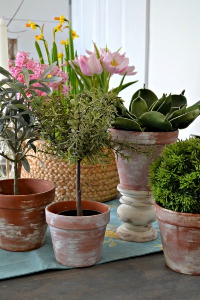 how to age a terracotta pot