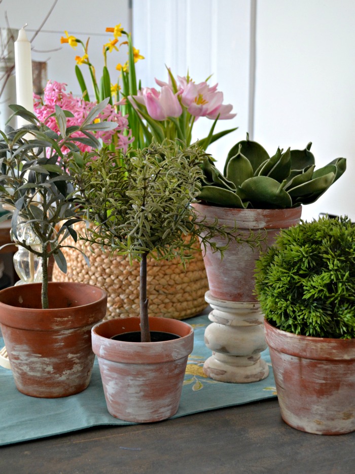 how to age a terracotta pot