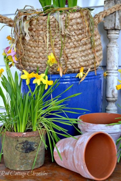 DIY Spring Planter Ideas
