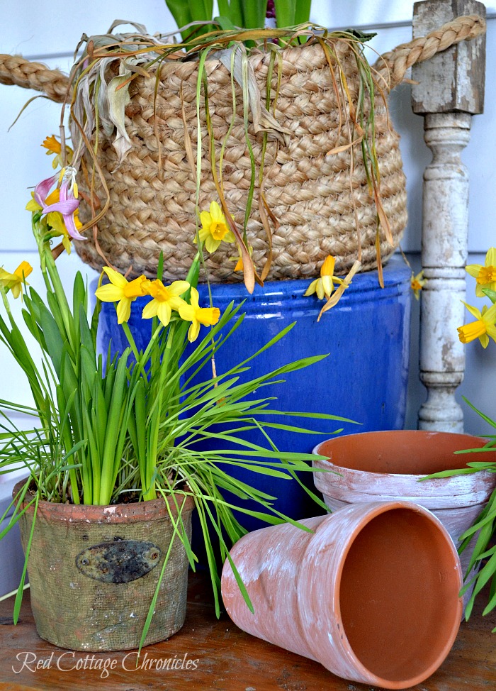 DIY Spring Planter for Under $10