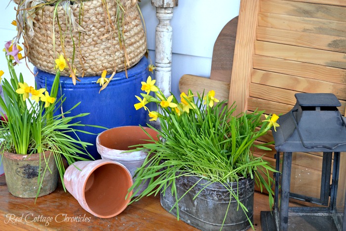 DIY Spring Planter Centrepiece