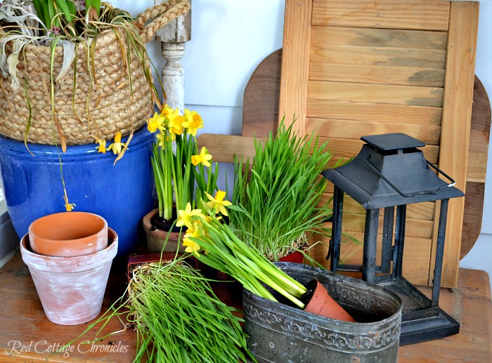 DIY Spring Planter Centerpiece