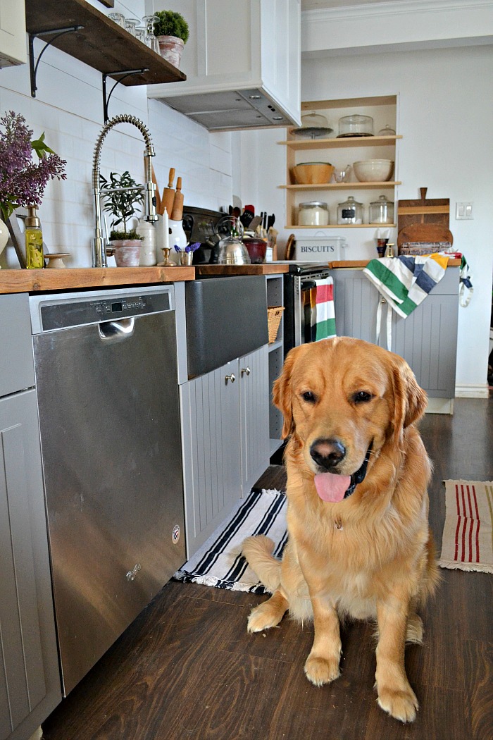 Kitchen Reveal Flooring Choices