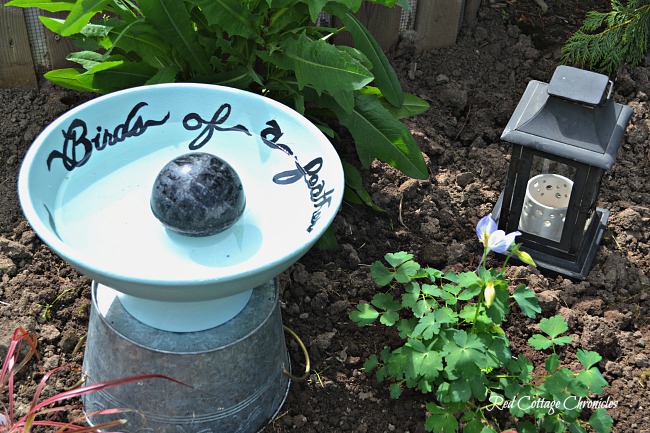 diy birdbath ideas were on my mind at the thrift store this month