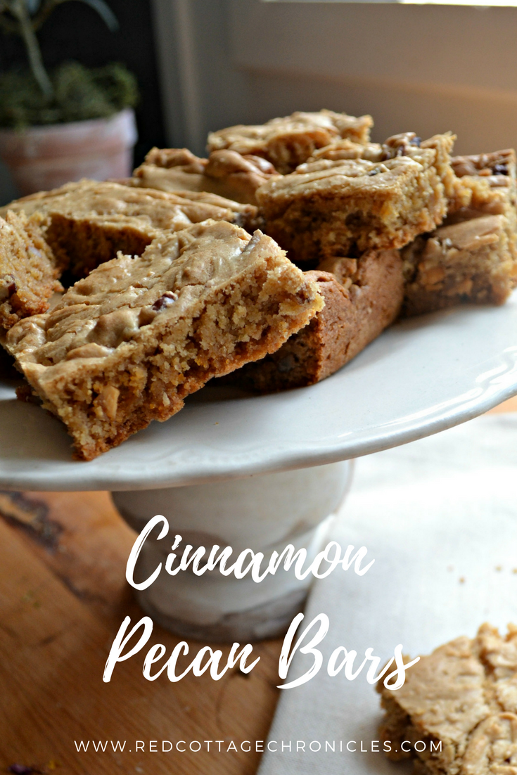 Cinnamon Pecan Bar Recipes