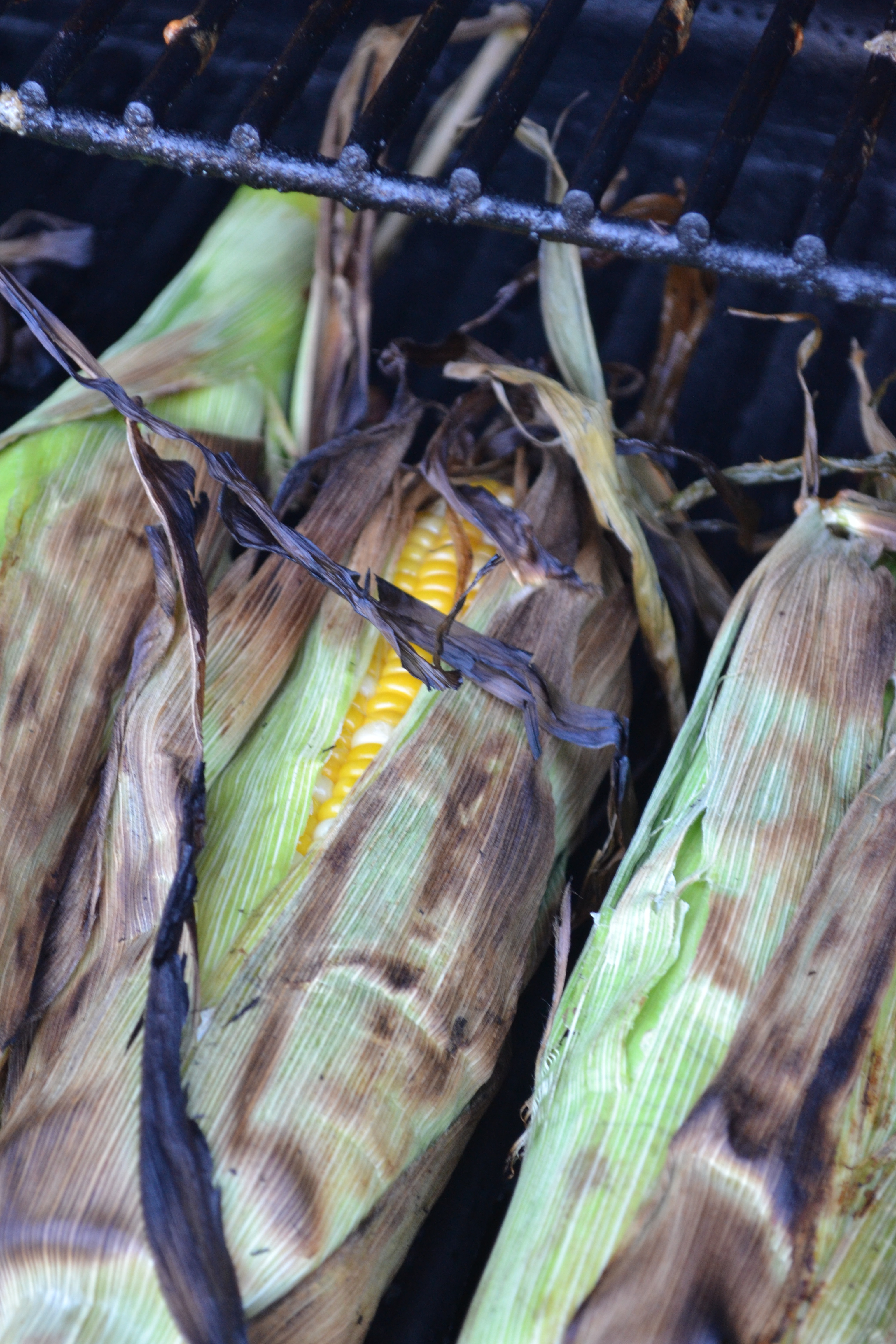 Grilled Corn on the Cob with Dill Butter