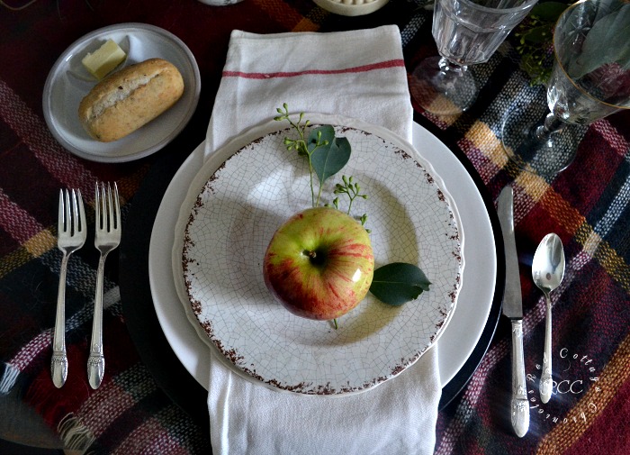 Thanksgiving table setting ideas