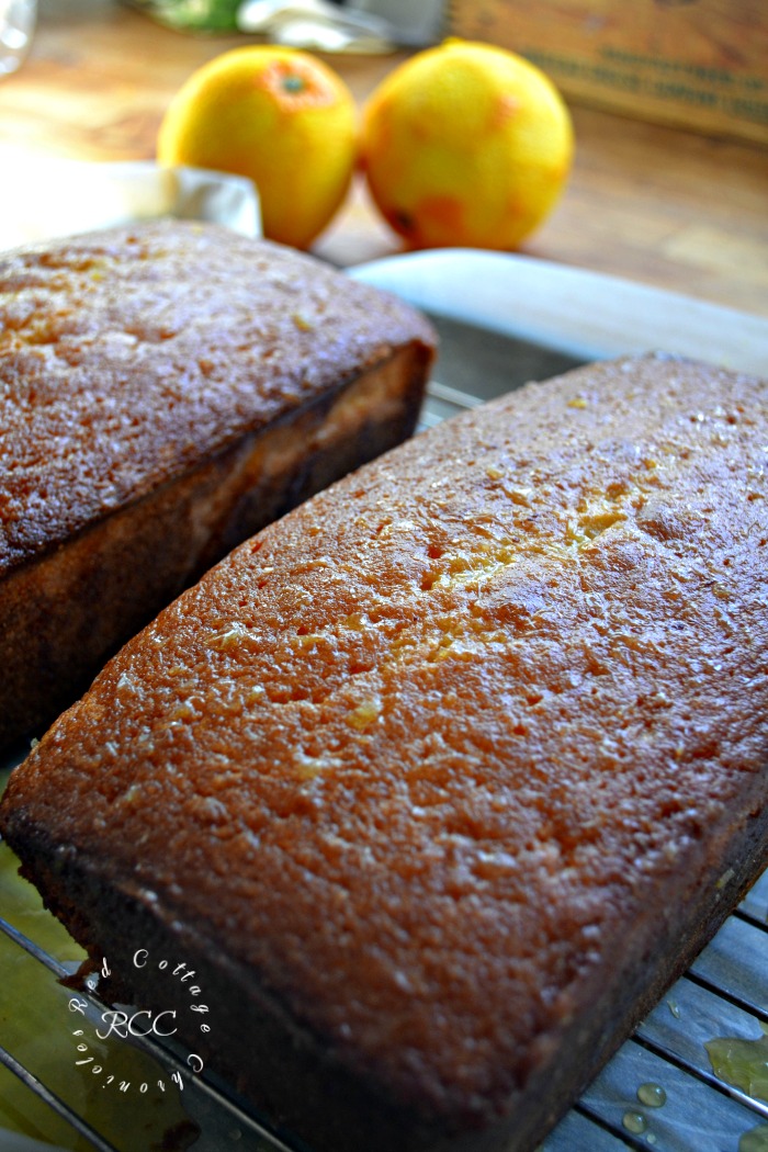 Cranberry Orange Walnut Bread - Edible Gifts