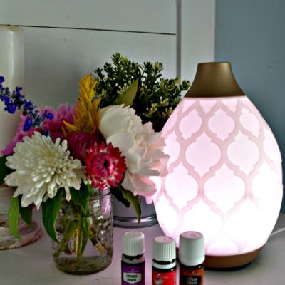 Keeping a Healthy Home