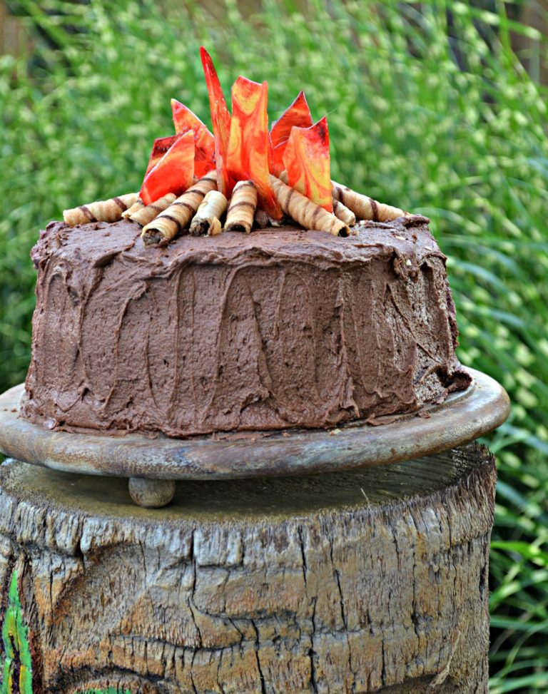 Closing Out Summer With A Campfire Cake