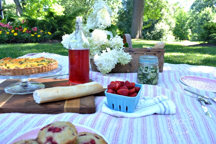 picnic ideas