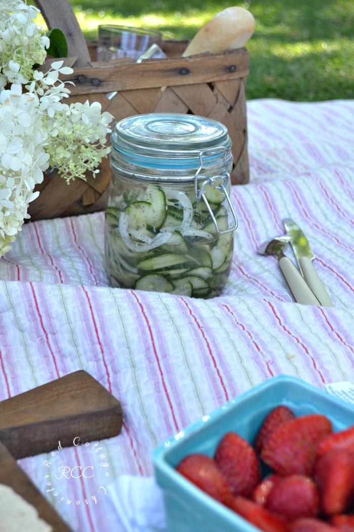 picnic ideas