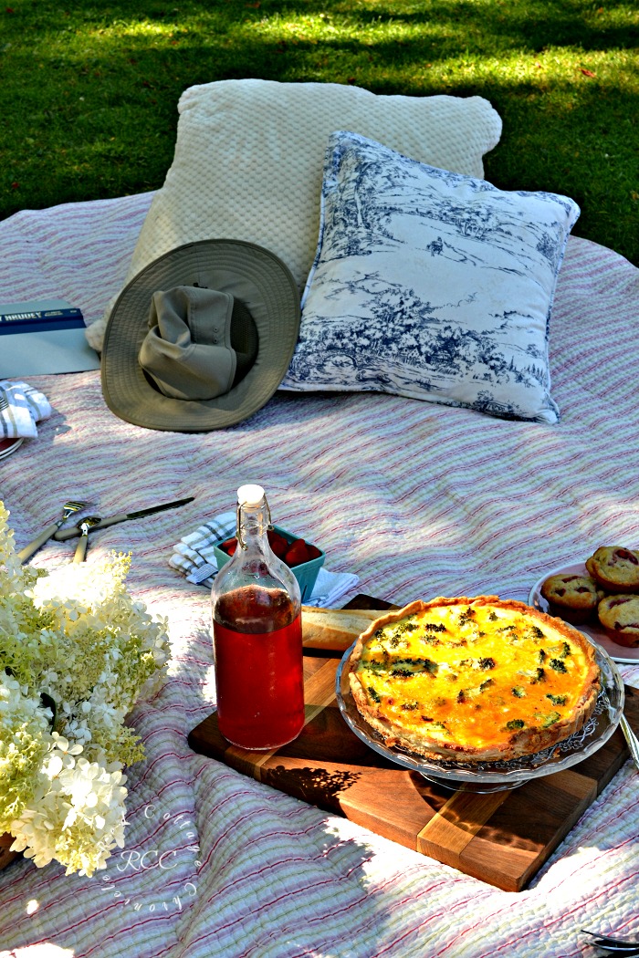 picnic ideas