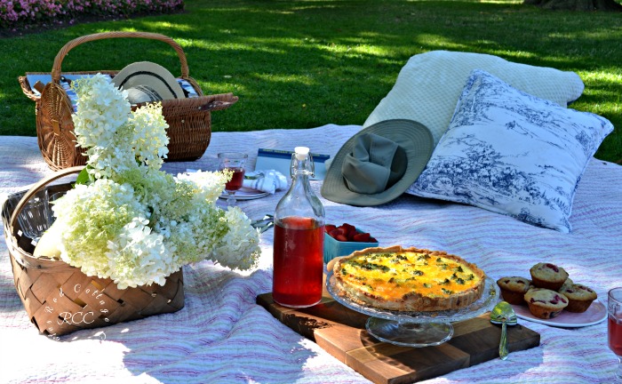 picnic ideas