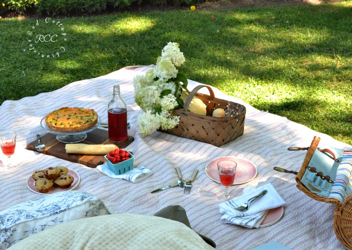 picnic ideas