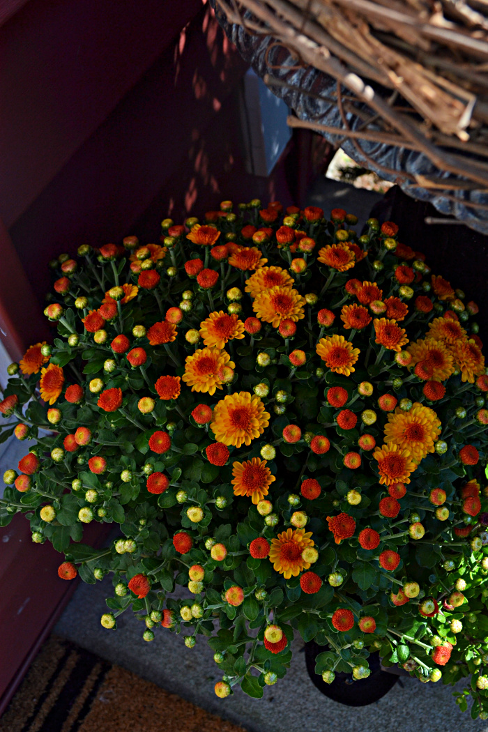 autumn porch decor