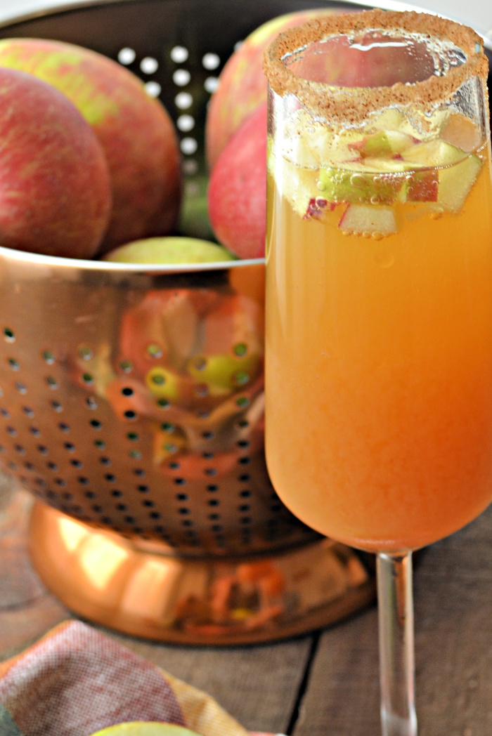 apple cider spritzer