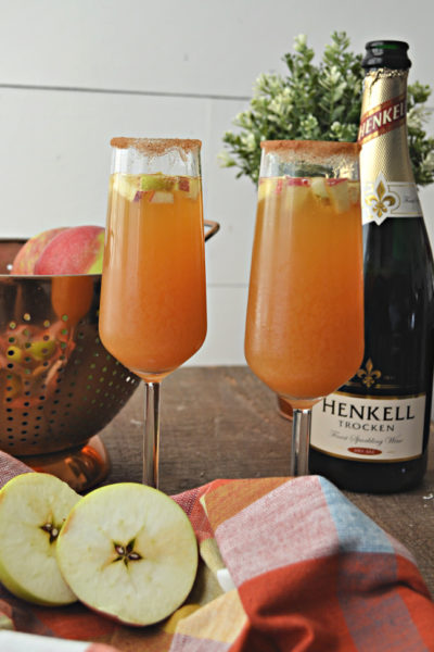 Apple cider spritzer