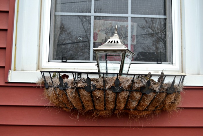 Foraged Christmas window boxes