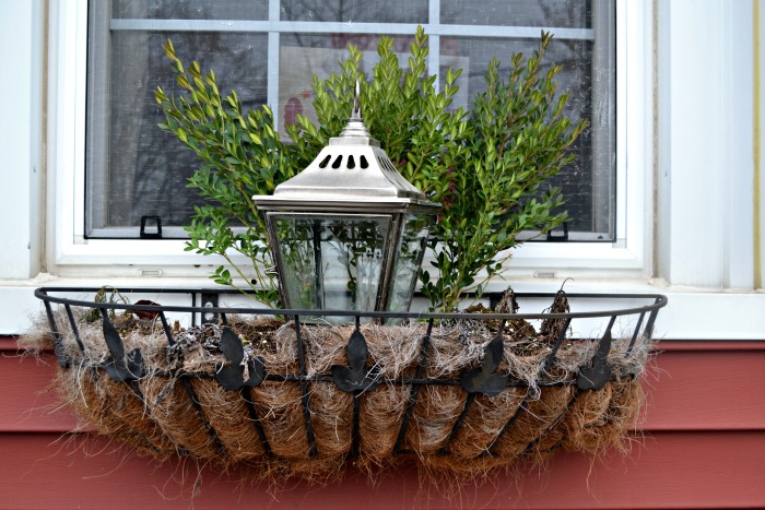 Foraged Christmas window boxes