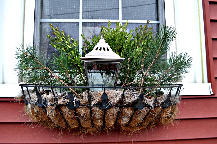 Foraged Christmas window boxes