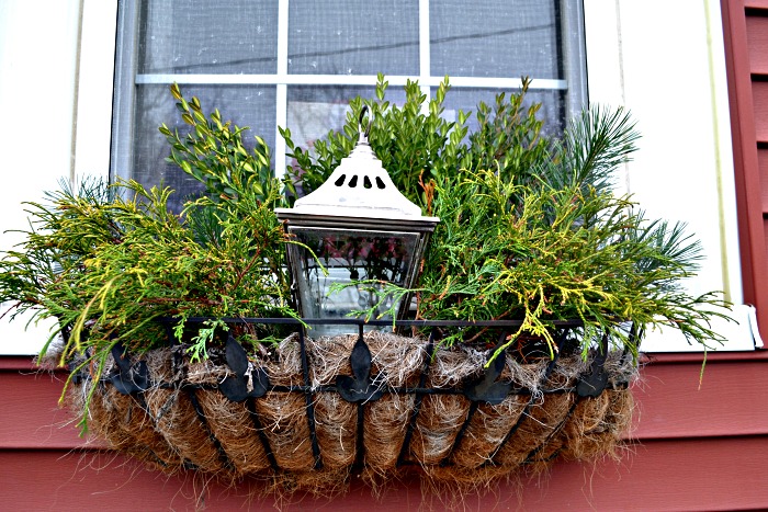 Foraged Christmas window boxes