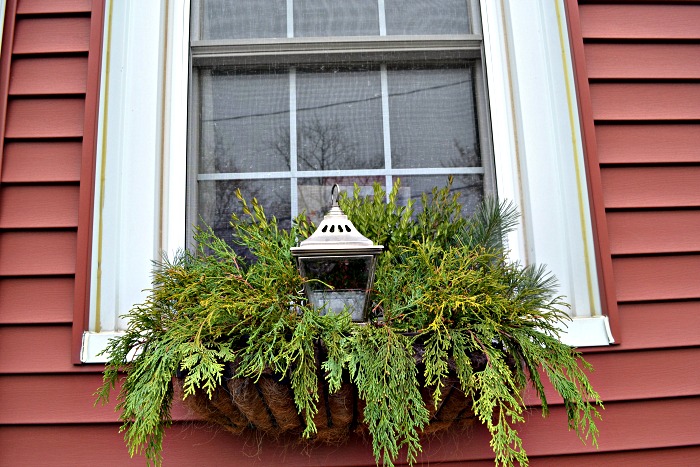 Foraged Christmas window boxes