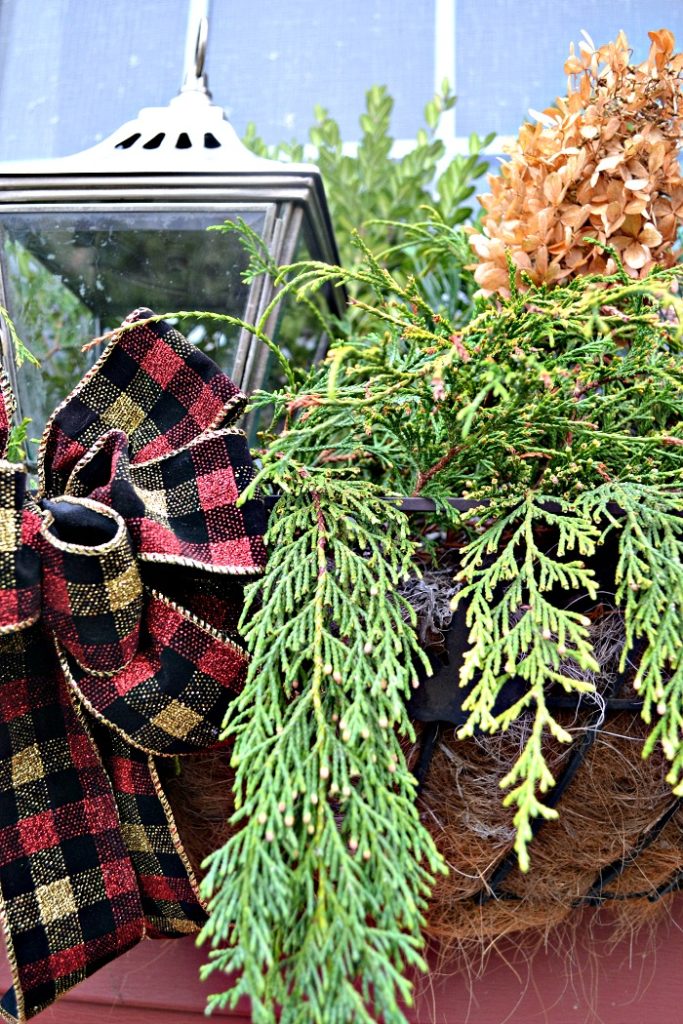 Foraged Christmas window boxes