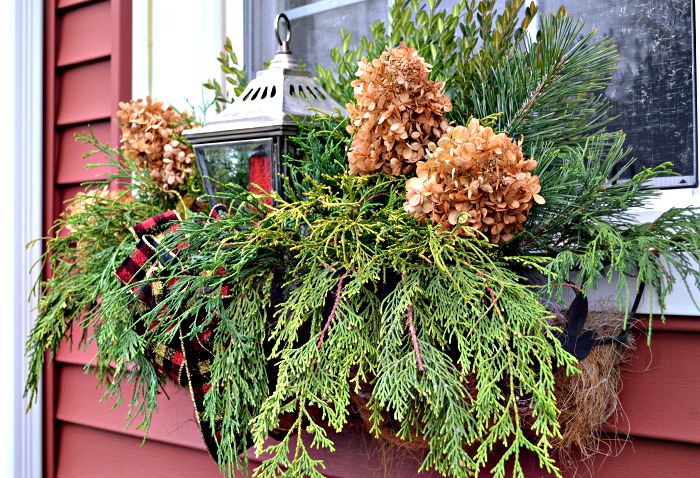 Foraged Christmas window boxes