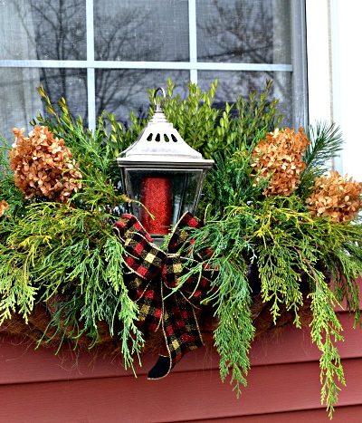 Foraged Christmas window boxes