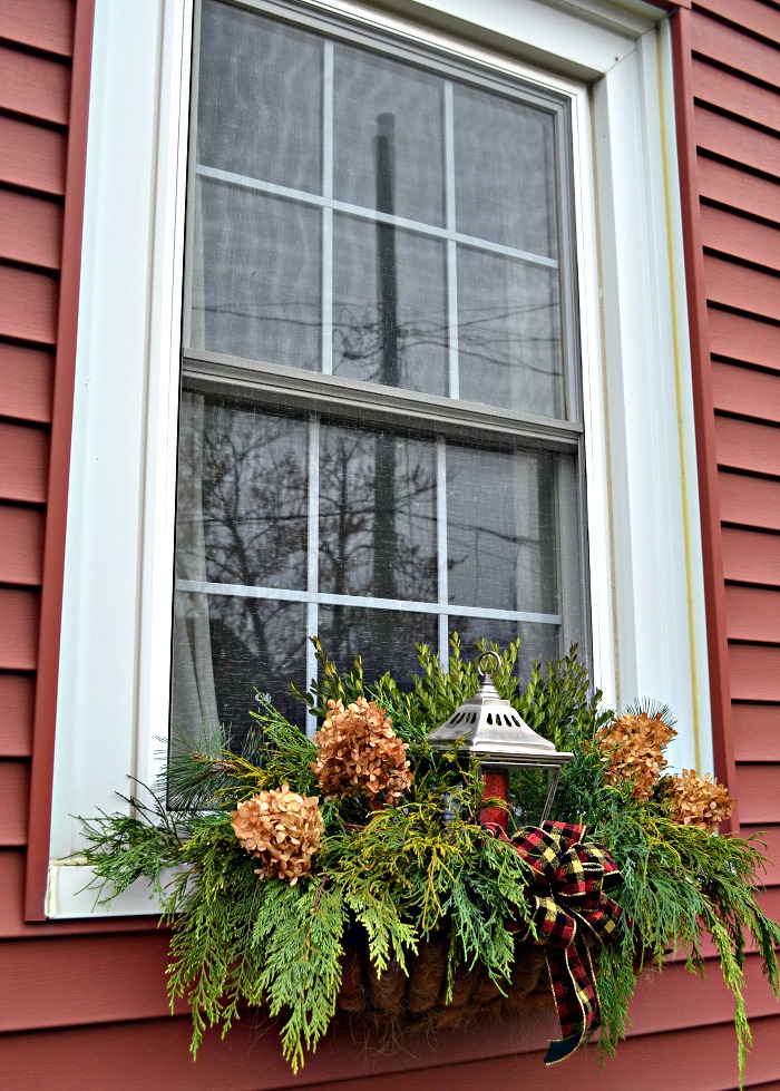 Foraged Christmas window boxes