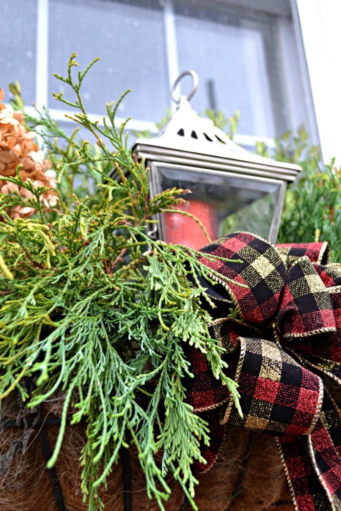 Foraged Christmas window boxes