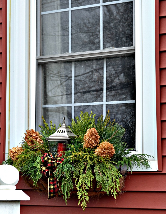 Foraged Christmas window boxes